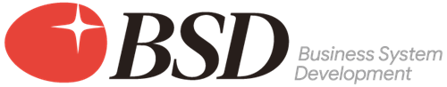 BSD Business System Development